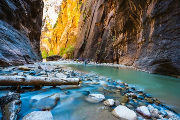 zion national park during a march trip