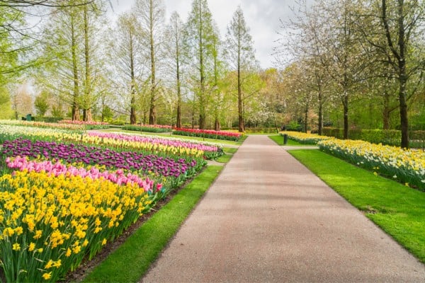 amazing spring garden during march travel in the netherlands