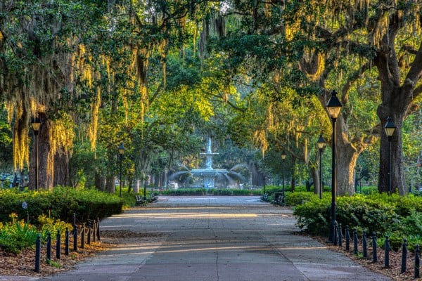 savannah georgia street in march at sunrise