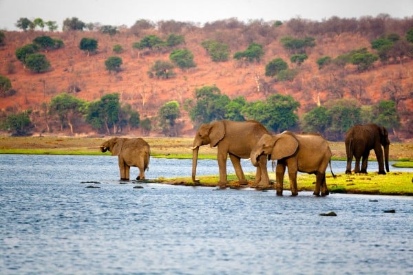 an underrated summer travel idea in africa Botswana