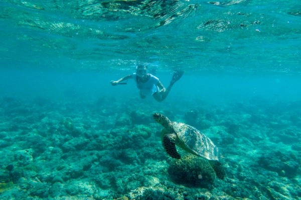 woman swimming with a turtle in an underrated summer travel idea in asia the Gili Islands Indonesia