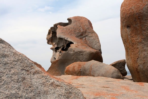 an underrated summer travel idea in australia Kangaroo Island