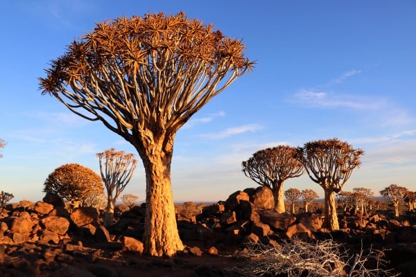 an underrated summer travel idea in africa namibia